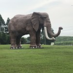 へたれ隊長