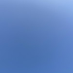 アナゴさん